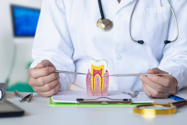 Best Emergency Gum Pain Relief  in Dana, NC